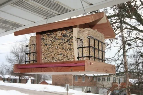 **Melting snow, singing birds**

Finally, the winter doldrums seem to be coming to an end.  Signs of Spring are suddenly with us!  The sun is shining, the birds are singing, we’re making progress on our bedroom makeover, and the house is seeming cheerier.  The snow is almost completely melted in our shady backyard.  We have a number of bulbs coming up in our front yard, and birds other than cardinals are discovering our bird feeder.  We don’t get as much exciting light here as we did in our window-filled loft apartment, but the bird songs make up for it.  It’s nice to be able to open the windows and hear nothing but bird songs.  No highway traffic noise here!  I hope it remains happily peaceful as neighbors start to emerge from hibernation.