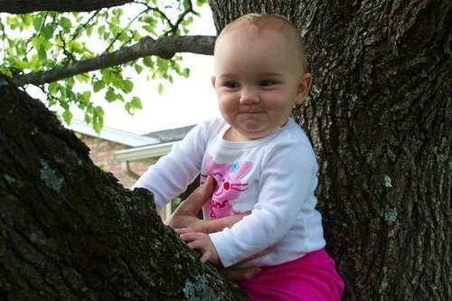 **Walking before 11 months!**

Yep, our girl walks, talks, and climbs trees!  See needs a little help with that last one, but she’s moving right along with the others.  She says “Ma”, “bye”, “hi”, and “hey” quite frequently.  ”Ba” and “pa” are favorite sounds right now.  For walking, she went from a few little steps once each day to walking all day long.  Her preferred method of locomotion was crawling on Sunday and walking by Friday.  In between, she visited her grandparents and I’m sure her grandfather’s cat training methods helped.  The toy walker and Abigail’s amazing determination may have helped too.