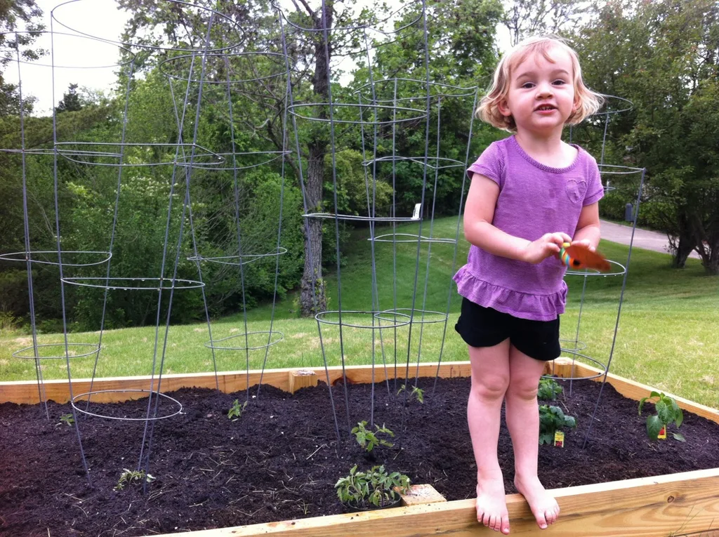 With a little help, Abby planted seven tomato plants and one red bell pepper plant in her garden today. Afterwards, she rewarded her hard work with a run through the sprinkler.