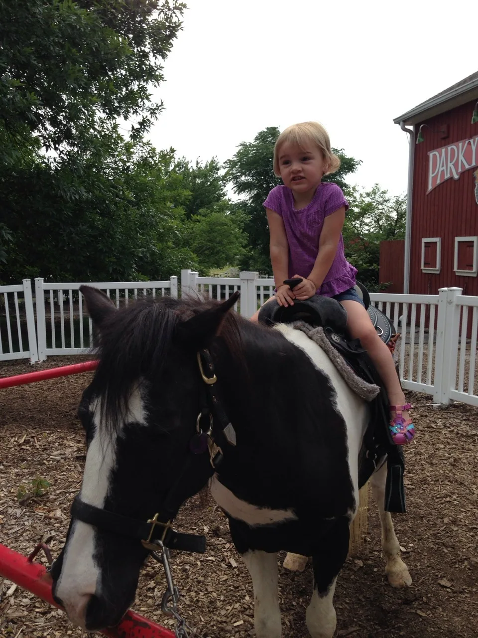 Our much-anticipated trip to Parky’s Farm at Winton Woods was a huge success. Abby rode two ponies all by herself, petted goats, and did lots of playing. Gwen and Josie did great. We’re definitely going to go again.