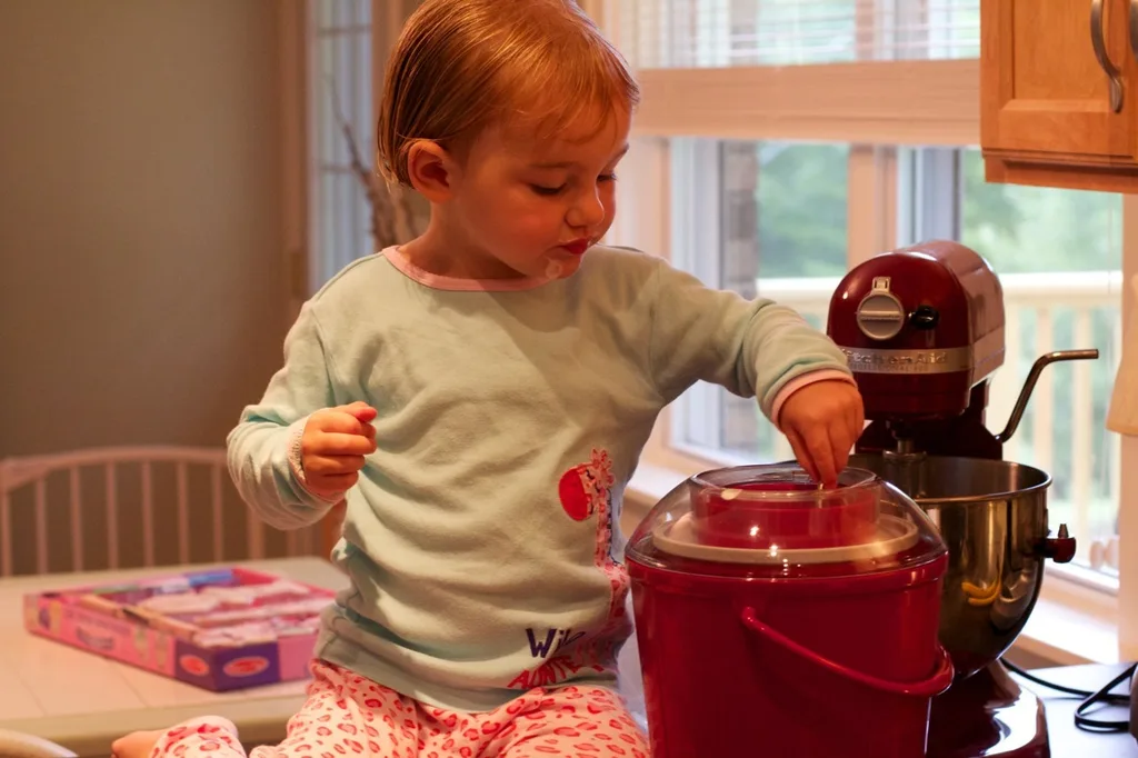 After three years hiding in the back of a cabinet, our ice cream maker has emerged! Homemade vanilla ice cream was the highlight of our day.