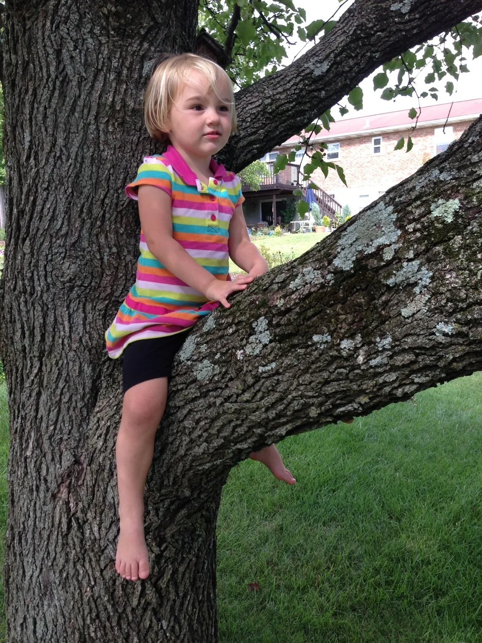 Two years and a few months later, and she still loves to climb trees.