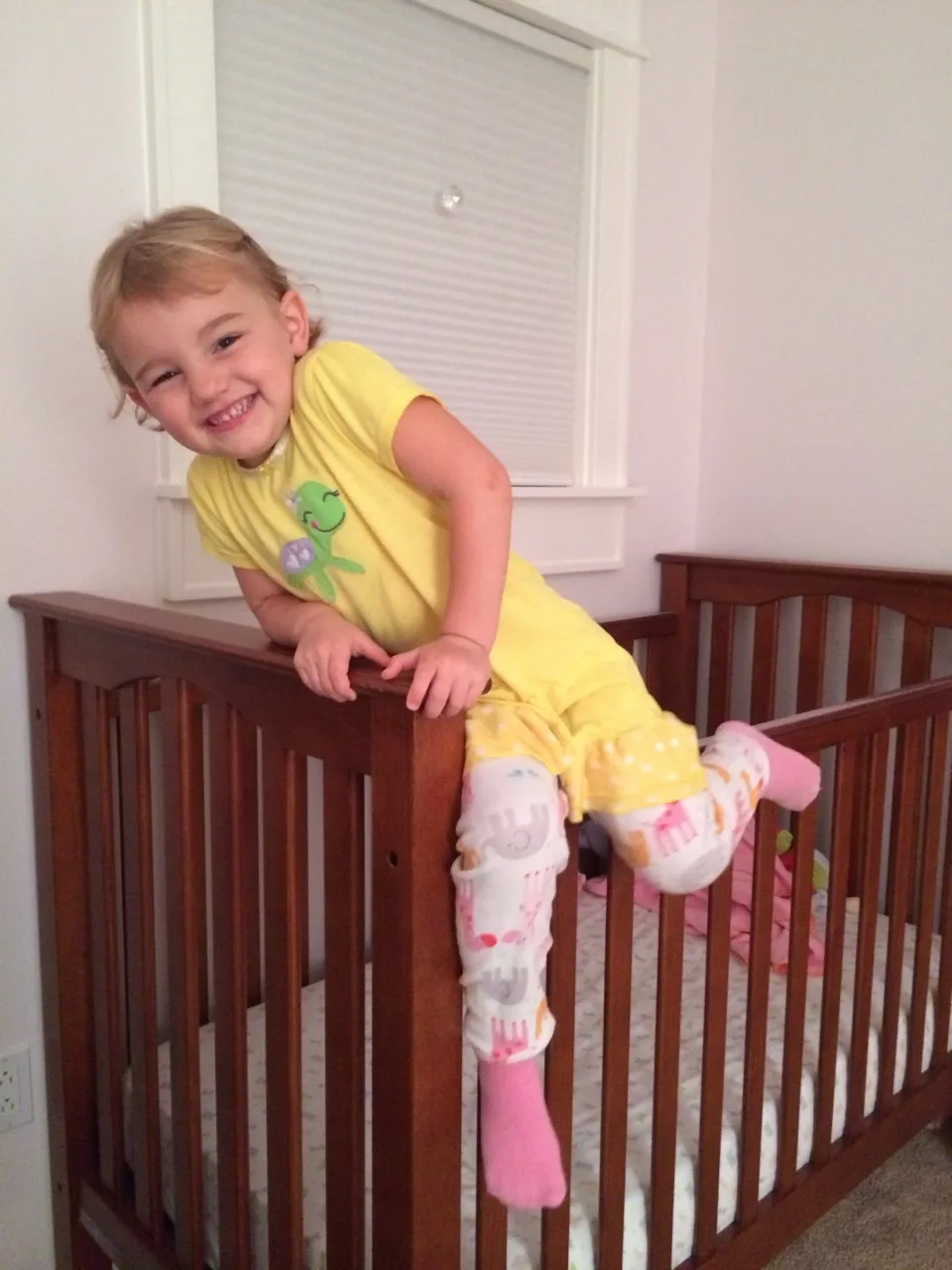 They can’t say it yet, but I think the babes are certainly thinking Abby’s often repeated question. – “Mom, does this look safe?”