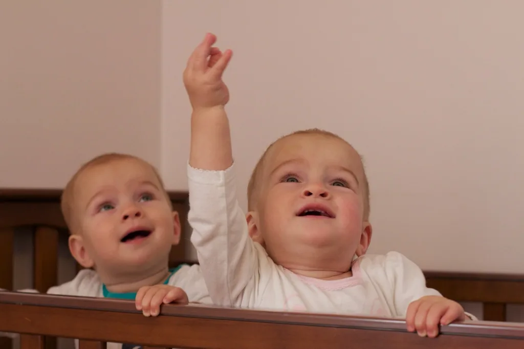 Babies, what’s that? Is that a light? Is that a tree? Is that a clock?

We often play this naming game. They both like to look around a room and learn the words for what they see. They’re furiously working on being able to say those words too.

They also really like books. I recently borrowed an animal picture book from the library. Gwen and Josie love to look at it. When I turn to the page with tigers, Gwen now growls with me. Gwen, what does a tiger say? “Grrrrrr.”