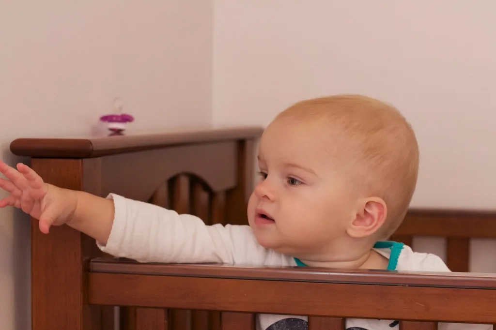 Babies, what’s that? Is that a light? Is that a tree? Is that a clock?

We often play this naming game. They both like to look around a room and learn the words for what they see. They’re furiously working on being able to say those words too.

They also really like books. I recently borrowed an animal picture book from the library. Gwen and Josie love to look at it. When I turn to the page with tigers, Gwen now growls with me. Gwen, what does a tiger say? “Grrrrrr.”