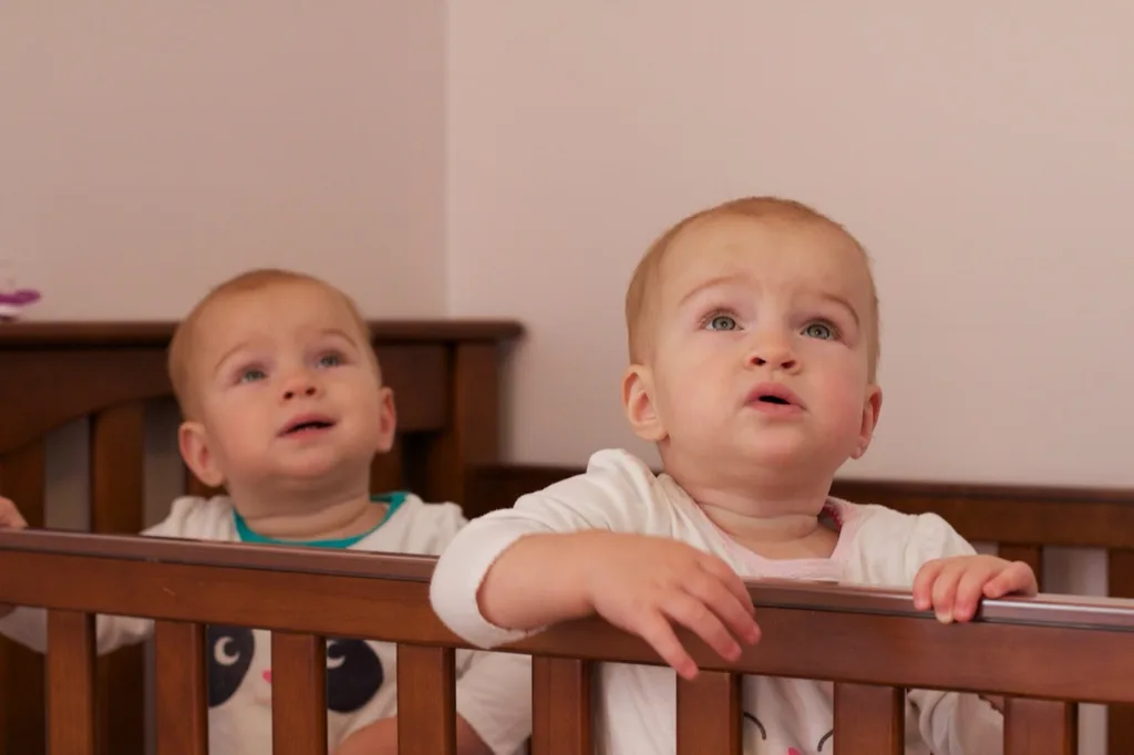 Babies, what’s that? Is that a light? Is that a tree? Is that a clock?

We often play this naming game. They both like to look around a room and learn the words for what they see. They’re furiously working on being able to say those words too.

They also really like books. I recently borrowed an animal picture book from the library. Gwen and Josie love to look at it. When I turn to the page with tigers, Gwen now growls with me. Gwen, what does a tiger say? “Grrrrrr.”