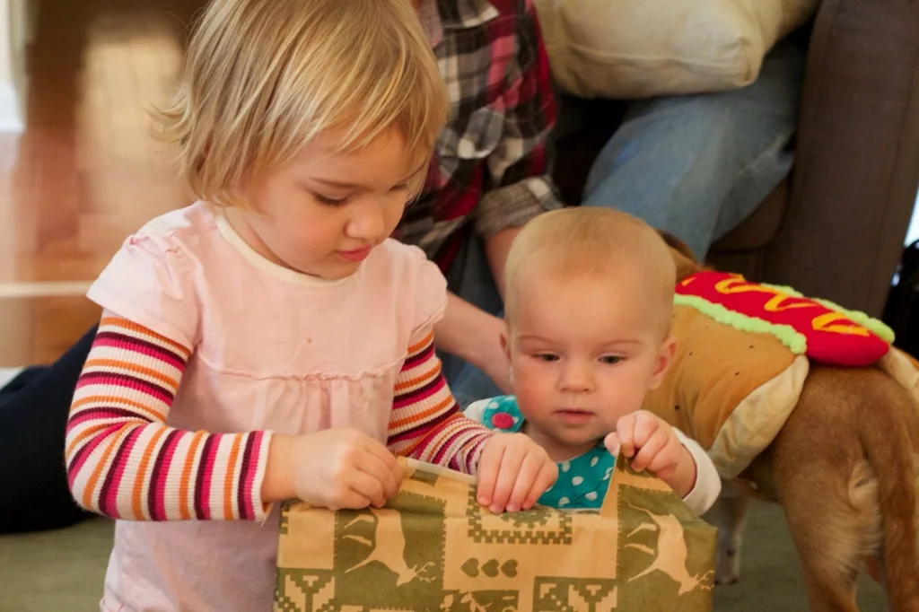 Our sweet baby girls are one year old already!