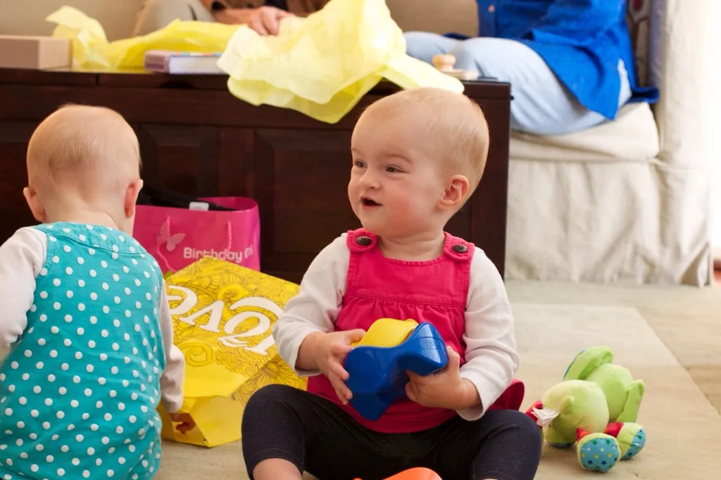 Our sweet baby girls are one year old already!