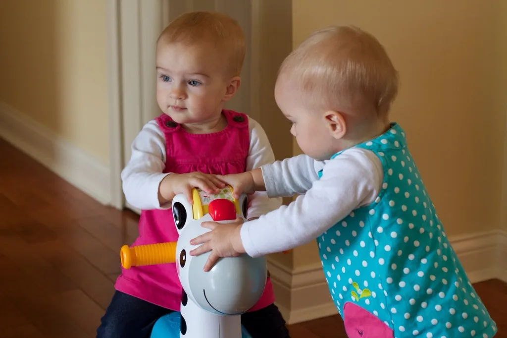 Our sweet baby girls are one year old already!