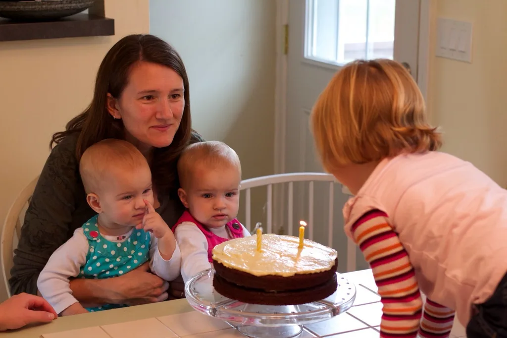 Our sweet baby girls are one year old already!