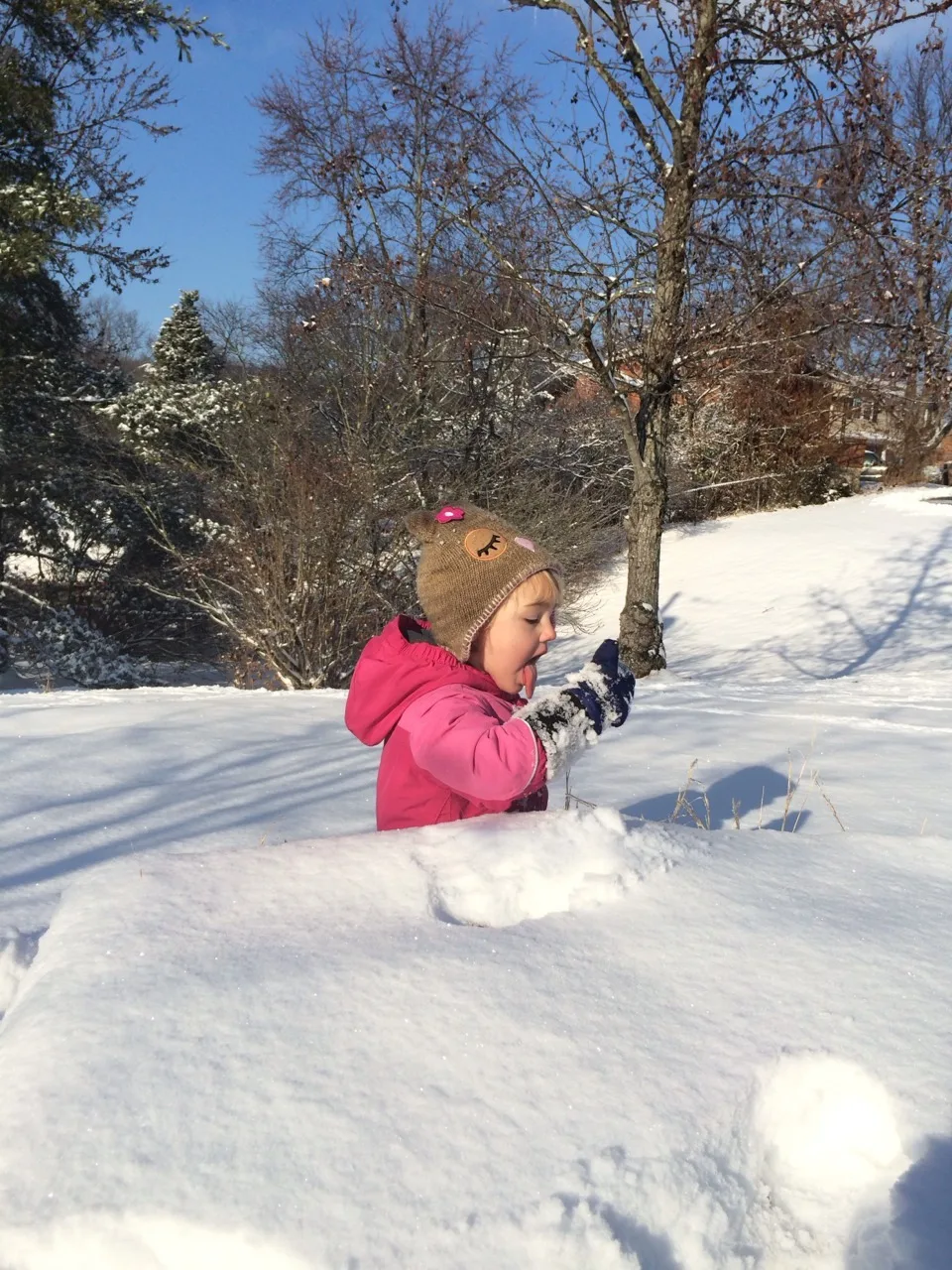 With more snow coming soon, I was reminded that I didn’t post any photos from our last big snowstorm. John and I had a great time taking Abby outside. Abby loves to ride her sled, make snow angels, stomp around, toss snowballs, and eat snow. Yes, she really likes to EAT snow.