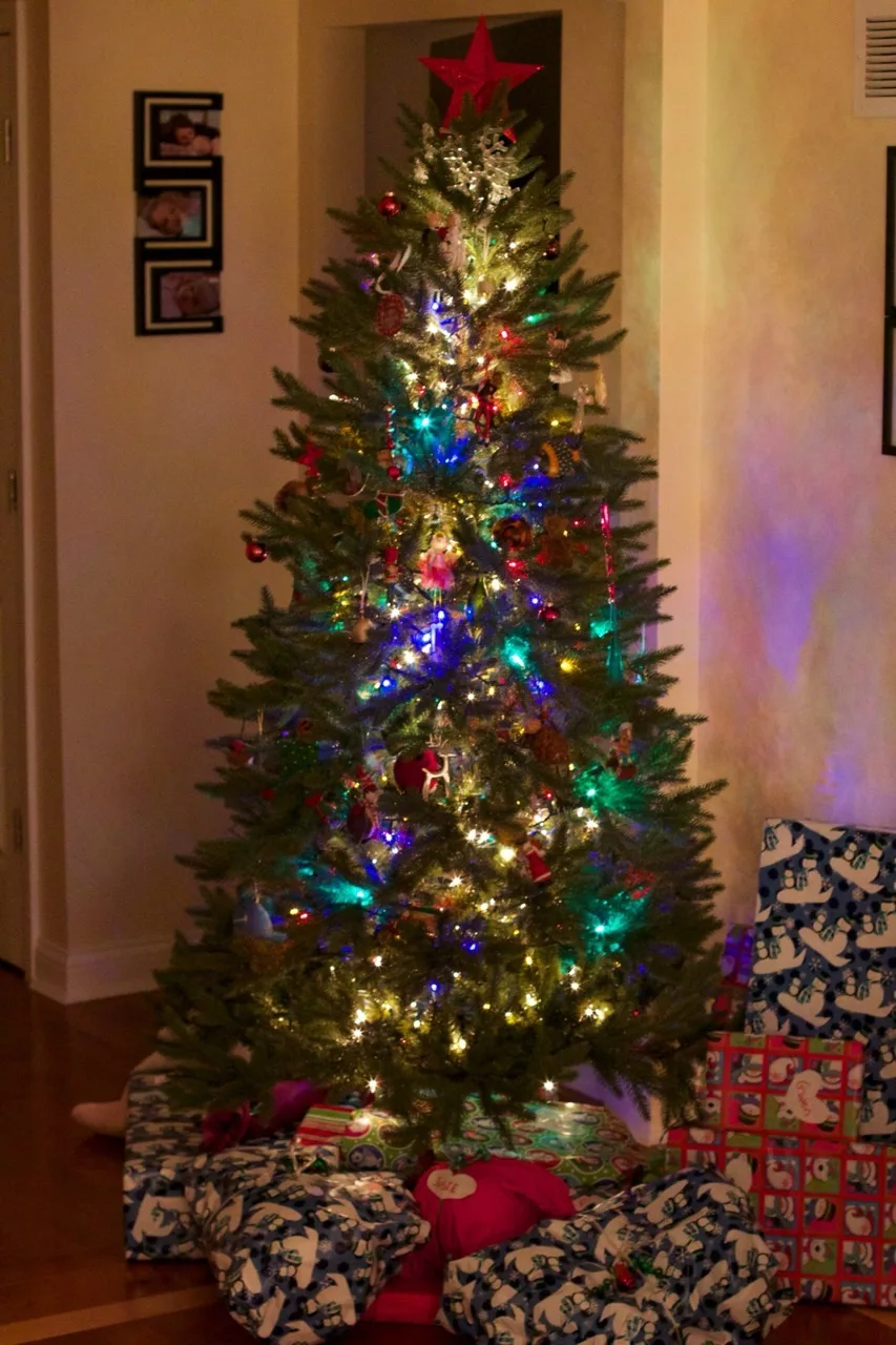 This was our best Christmas morning so far. Abby woke up first, and was surprisingly willing to let the presents sit untouched while we waited for her sisters to wake up. Josie was the second to wake, but no such luck with her. She wanted to investigate! We ended up encouraging Gwen to get out of bed so we could see what Santa brought us.

The girls had lots of fun opening their gifts, and giving gifts. The highlights were a toy train set, an indoor trampoline, some very cute animal hats and gloves, and a bright red toy monster truck for Papa, who just wanted a nice German car. (That was Abby’s gift to John. She looked at Papa’s preferred cars at the store and said they were “too grey, too blue, too boring.” She instead bought a fire truck for Josie, a camper with a beach scene for Gwen, and the monster truck for John. No sports cars for her!)

We took lots of pictures, but Tumblr only allows ten per post. (Sigh.) Christmas afternoon coming next.