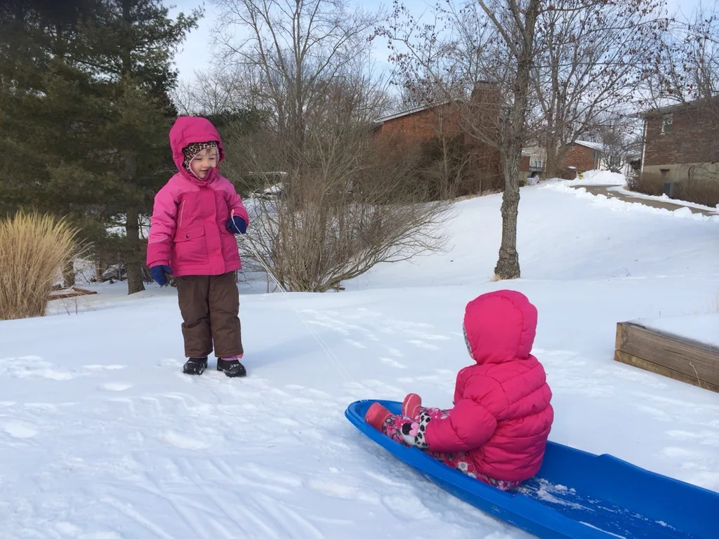 While Gwen took a long nap this morning, Josie enjoyed her first time frolicking in the snow with her big sister.