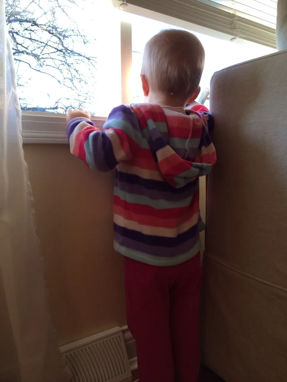 Oh boy! The school bus.