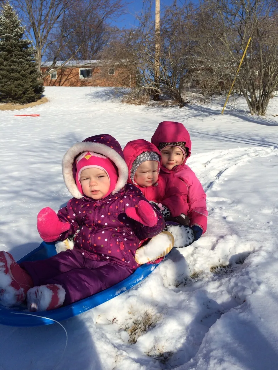 The girls and I played outside in the snow this afternoon. I’m not sure what Gwen and Josie really thought about it. They never fussed, but they didn’t smile much either. They seemed to like eating snowballs and being pulled around in the sled. Abby liked playing chauffeur. I think we all enjoyed the sunshine. It was especially exquisite reflected through the ice on the trees.