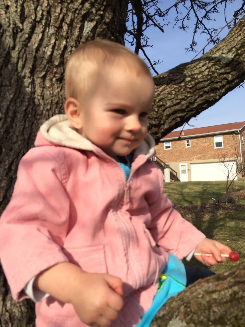 Hooray! I finally think we are all recovered from the horrible stomach illness. We enjoyed the lovely weather today with a trip to the library in the morning for storytime, and a mile walk around the neighborhood after naps. The girls especially enjoyed playing in the front yard (and climbing the tree). I hope they sleep well tonight!