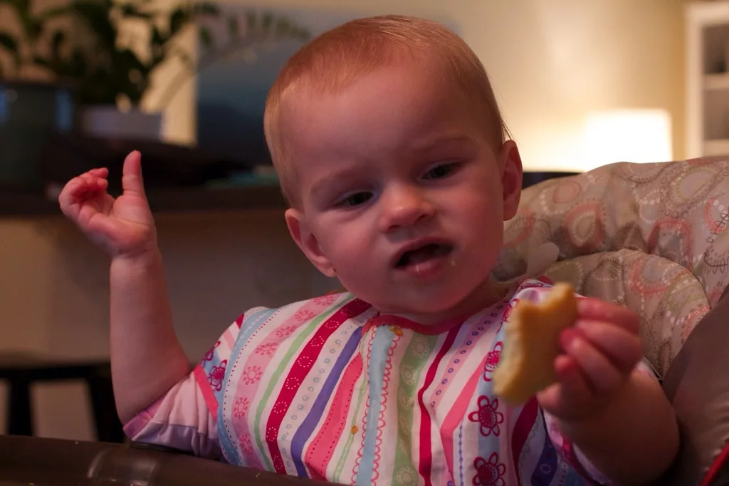 On this rainy day, our word of the day was definitely dough. The girls played with playdoh, we made cookie dough, and Abby earned some dough by helping to put away the dishes.