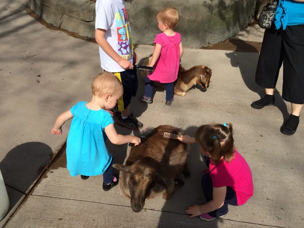 We had a fun morning at the Zoo today. Abby, the frequent Zoo adventurer, was our tour guide. This was our first trip this spring and the babies are now old enough to be excited by the animals. They really liked watching the giraffes, cheetah, penguins, and polar bears. They were also quite fond of the goats. They don’t care for dogs, but they’re more than happy to brush goats.