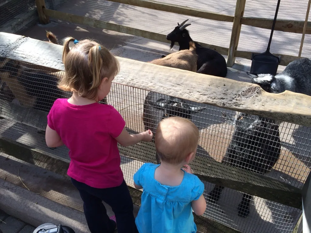 We had a fun morning at the Zoo today. Abby, the frequent Zoo adventurer, was our tour guide. This was our first trip this spring and the babies are now old enough to be excited by the animals. They really liked watching the giraffes, cheetah, penguins, and polar bears. They were also quite fond of the goats. They don’t care for dogs, but they’re more than happy to brush goats.