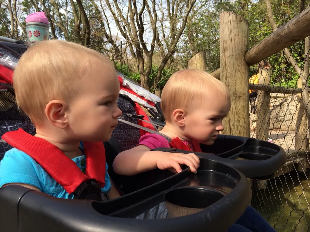 We had a fun morning at the Zoo today. Abby, the frequent Zoo adventurer, was our tour guide. This was our first trip this spring and the babies are now old enough to be excited by the animals. They really liked watching the giraffes, cheetah, penguins, and polar bears. They were also quite fond of the goats. They don’t care for dogs, but they’re more than happy to brush goats.