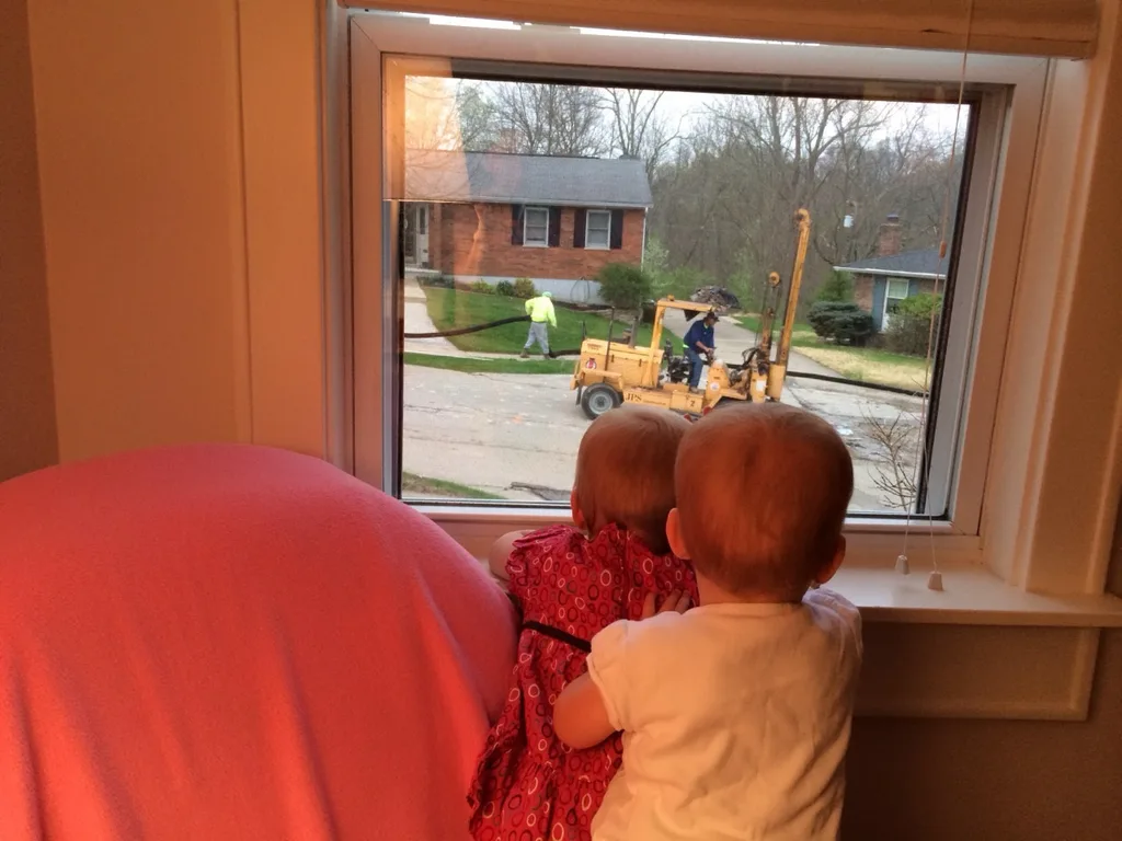 The babies were transfixed by the activities on our street today.
