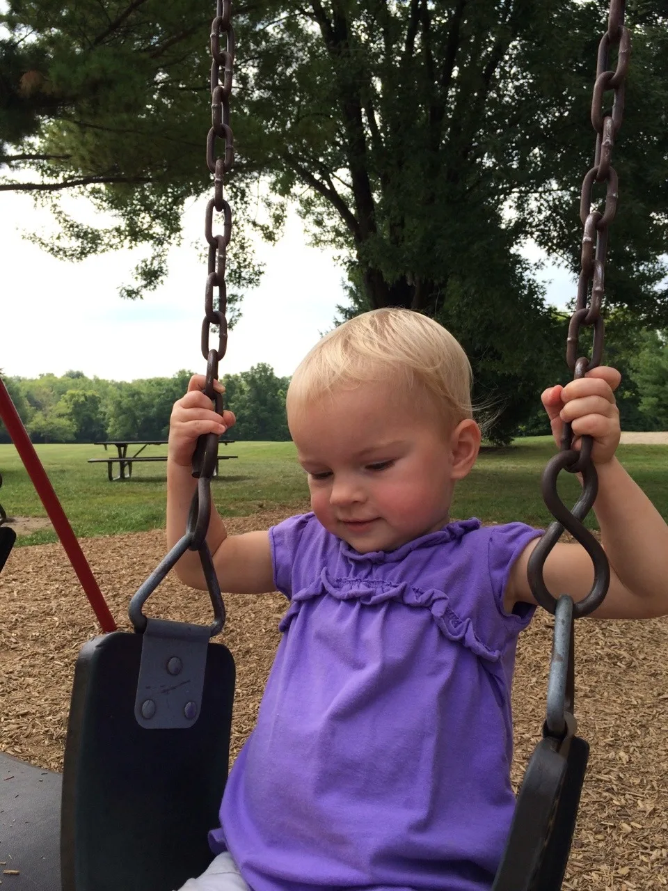 The girls and I visited yet another park this morning - Harbin Park in Fairfield. Their favorite part was definitely the swings.
