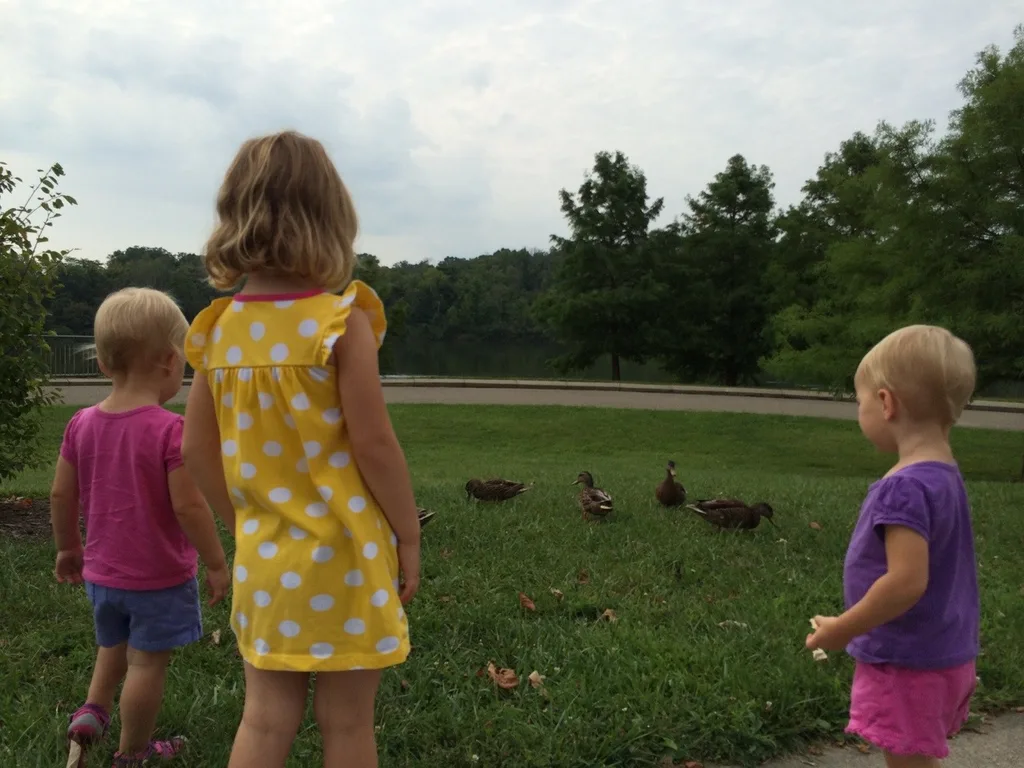 Great morning feeding the ducks and splashing around at Winton Woods Park