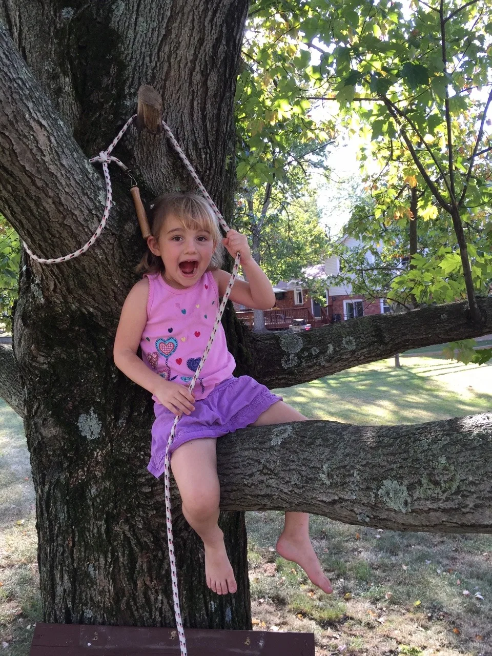 Fun in the backyard (taken a few weeks ago).