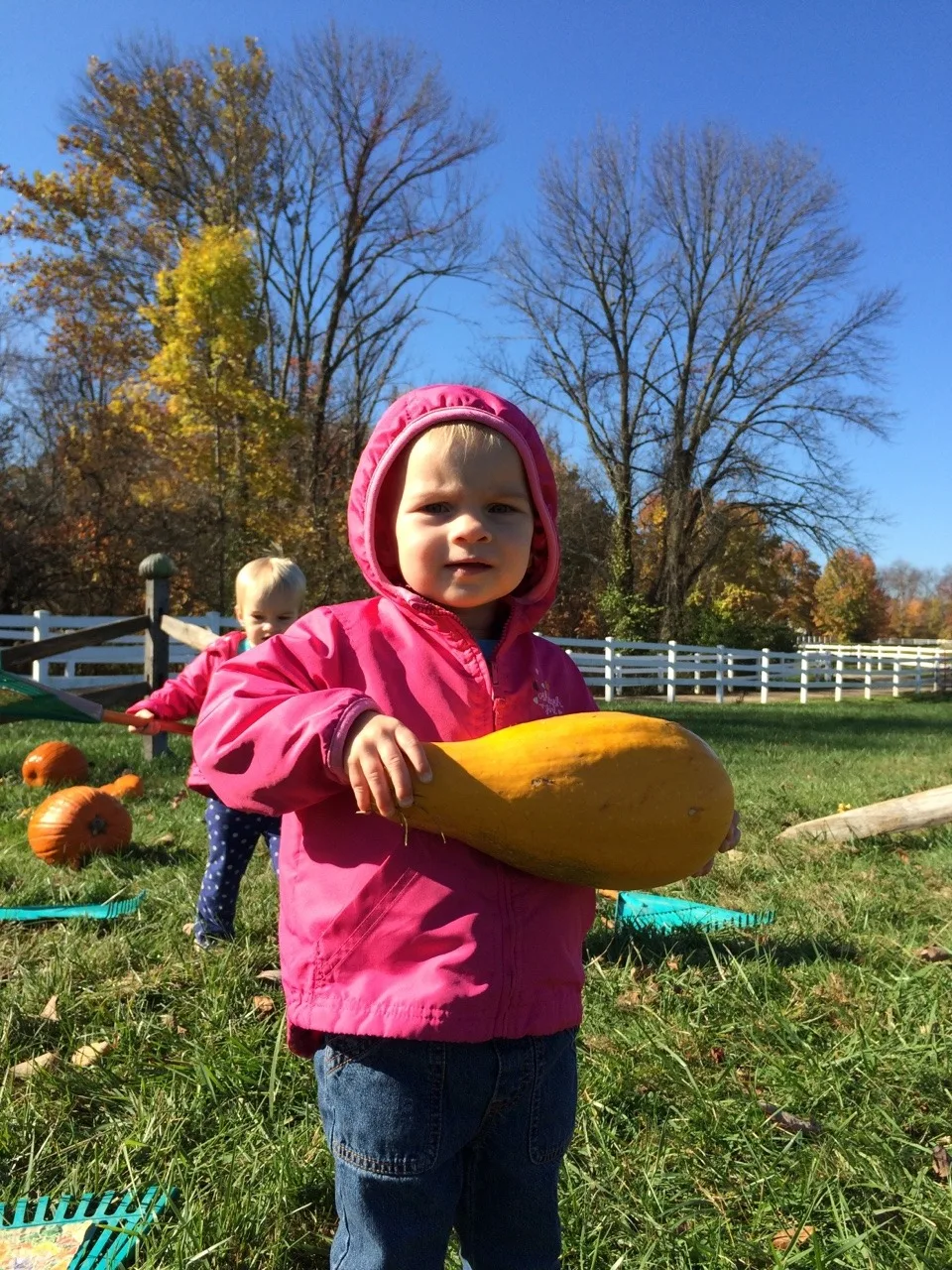 We’re soaking up the lovely weather while we can! Yesterday, we fed “goaties,” rode the train, and had other fun with Grandma and Grandpa at the Zoo. Today, we enjoyed petting farm animals (more goats!), a hayride, selecting pumpkins at a pumpkin patch, ghost bowling, and other Halloween fun with Angel and Grandma Susan at Parky’s Farm at Winton Woods Park. Too bad we previously scheduled flu shots for tomorrow.