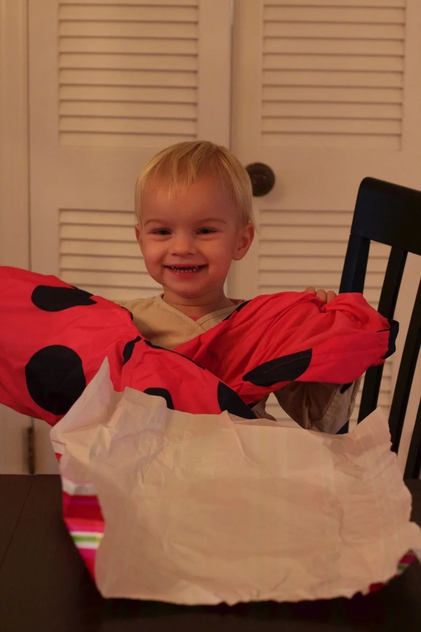 A week after the birthday fun, but here are some pictures of the 2 year olds.