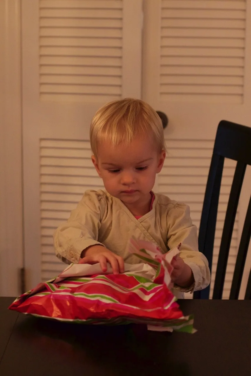 A week after the birthday fun, but here are some pictures of the 2 year olds.