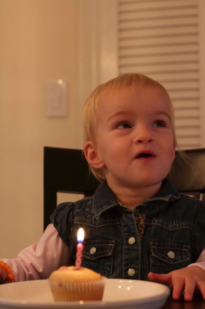 A week after the birthday fun, but here are some pictures of the 2 year olds.