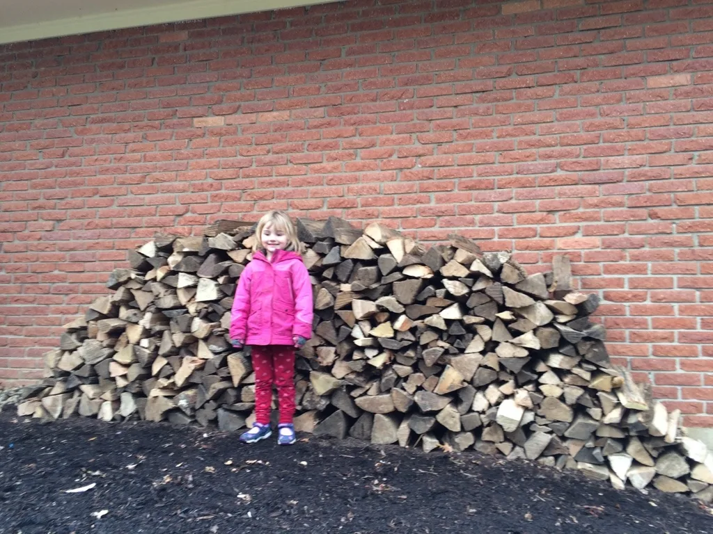I’m shocked by how much 1⁄3 of a cord of firewood is, and impressed with my stacking helpers!