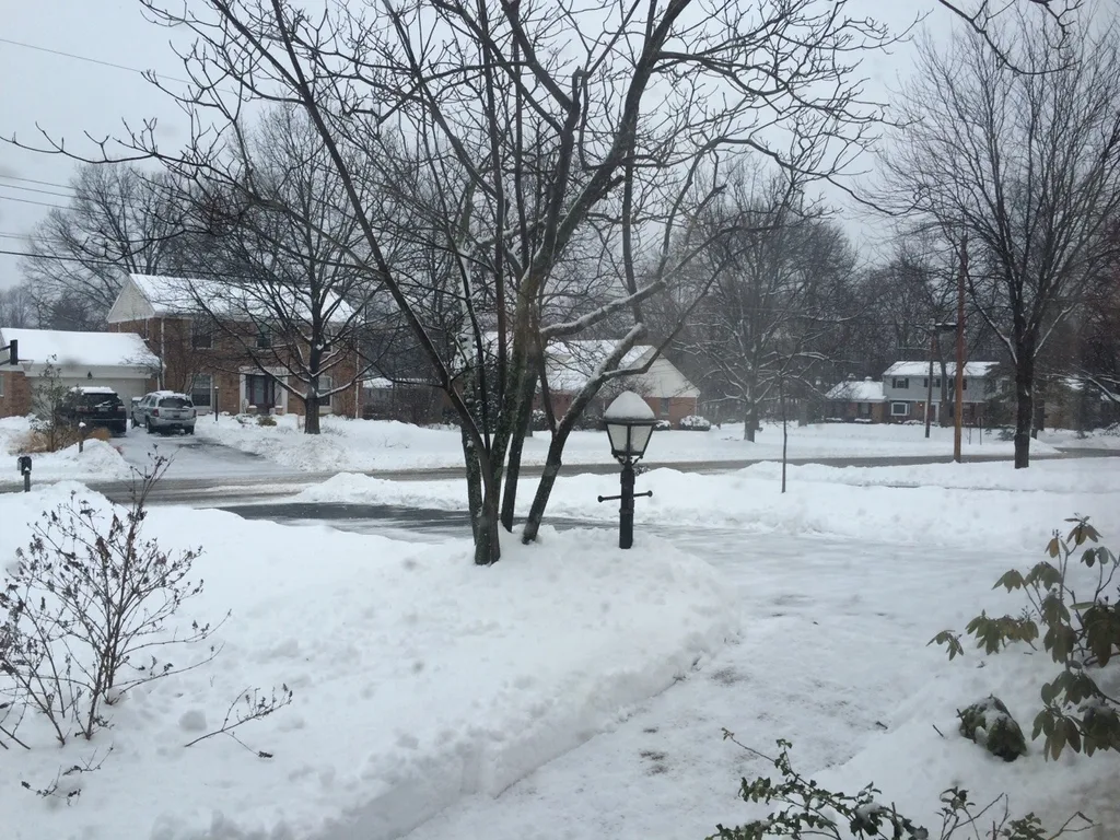 I’m so thankful for kind neighbors with snowblowers. My task was made so much easier this morning. As I type this at 2:30pm though, huge snowflakes are falling and I already need to shovel again!