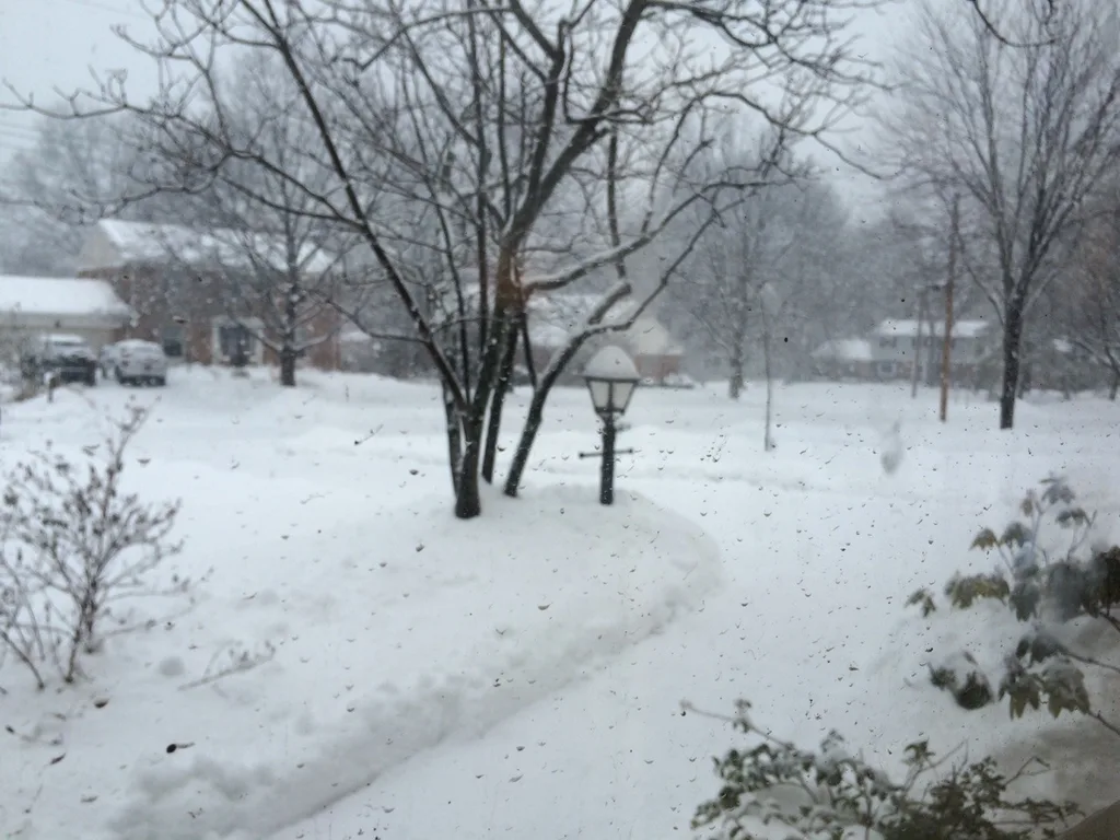 I’m so thankful for kind neighbors with snowblowers. My task was made so much easier this morning. As I type this at 2:30pm though, huge snowflakes are falling and I already need to shovel again!