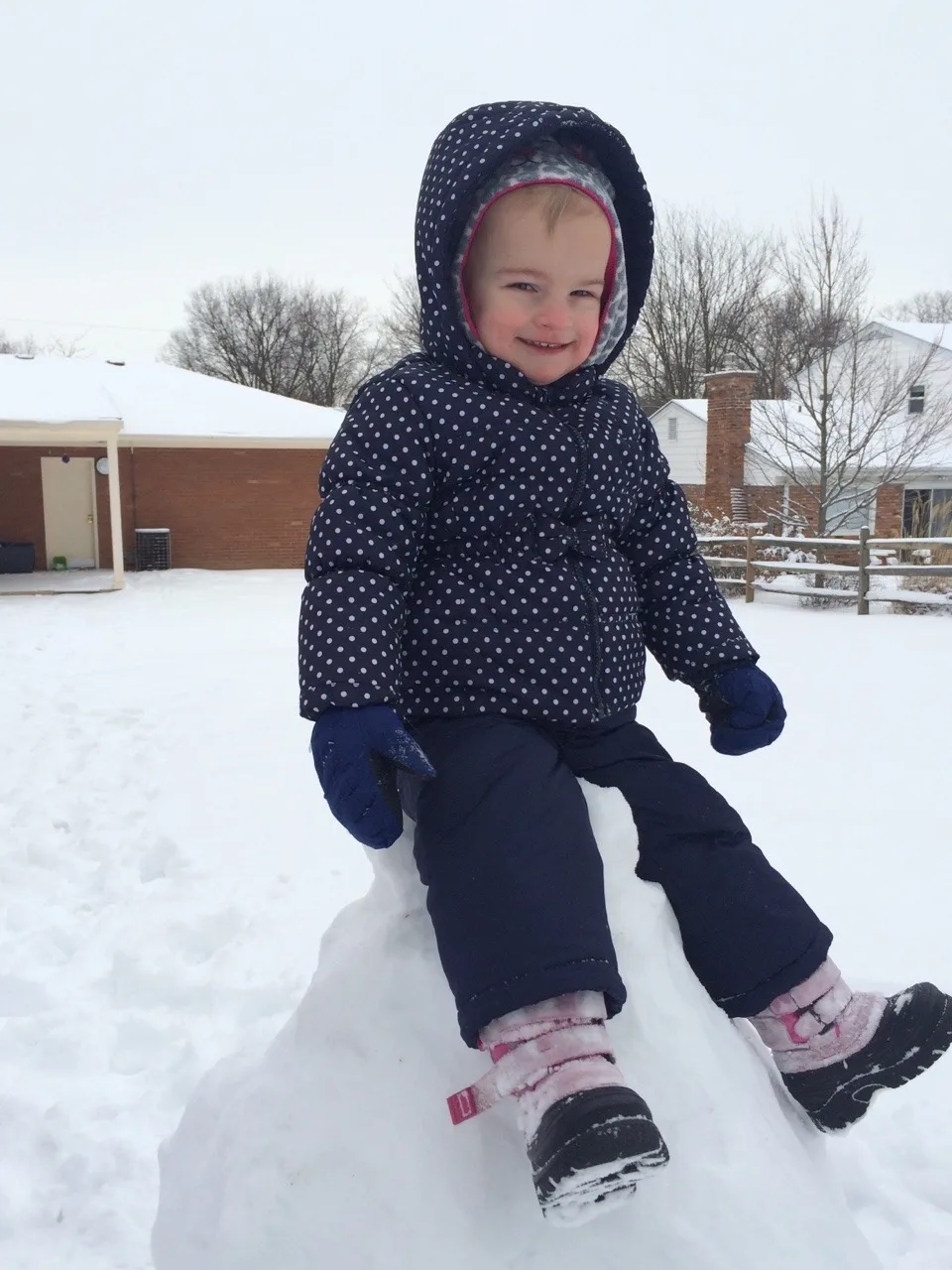The girls had fun in the snow this morning, but, gosh, do I hope it was the last time this season. Spring!