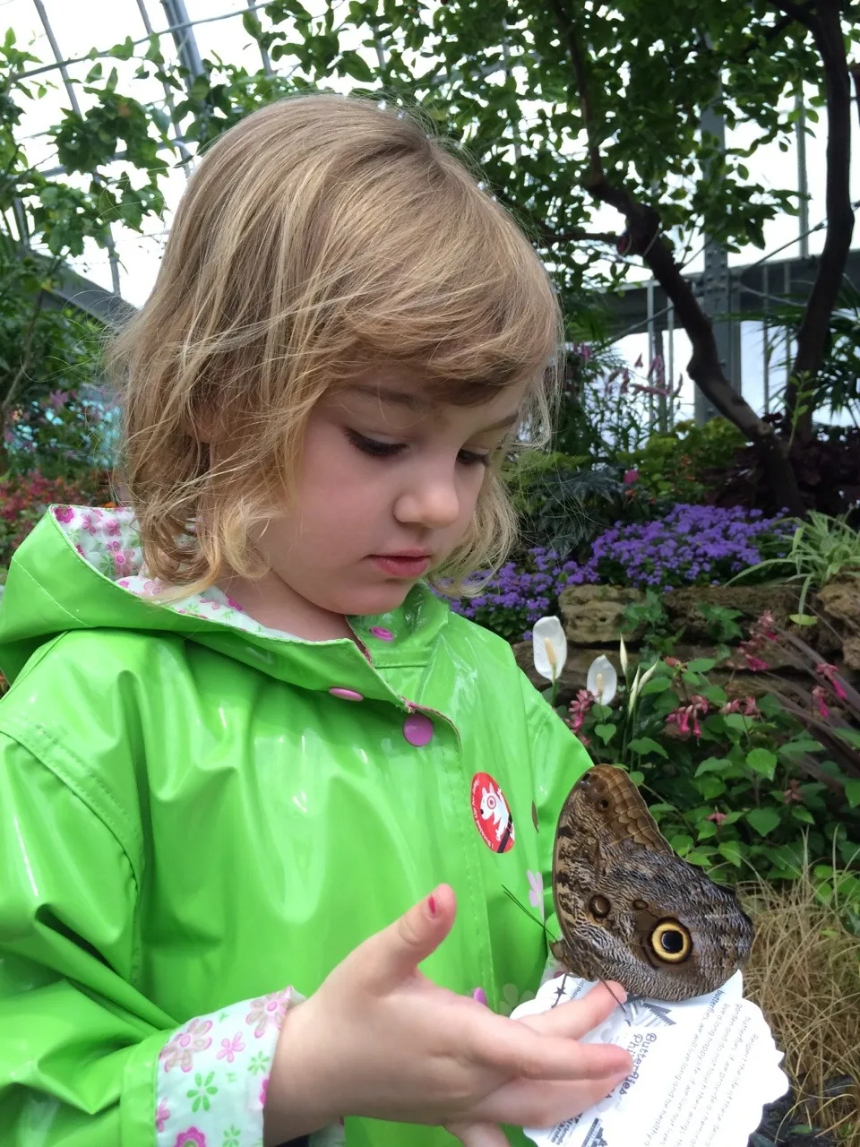 Abby communing with butterflies at Krohn Conservatory.