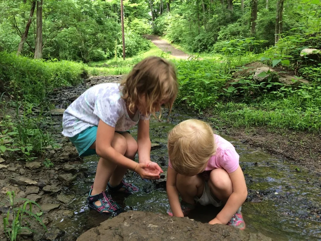 Looking for critters at Sellman Park this morning.