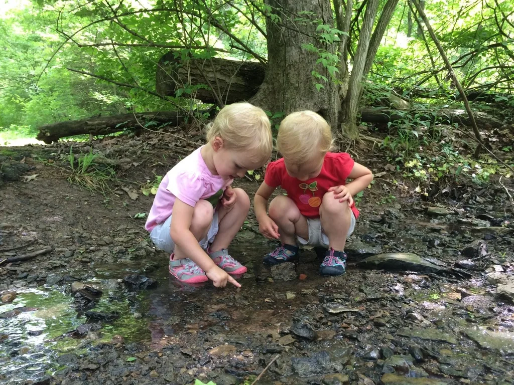Looking for critters at Sellman Park this morning.