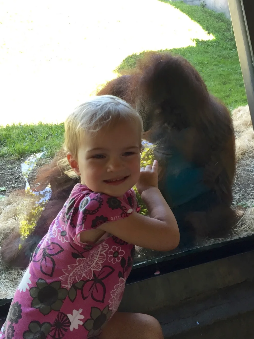 Our first out-of-town trip with all three girls was a big success. We drove to Columbus, stayed at a hotel, went swimming, and went to the Columbus Zoo.

Even though the hotel’s pool was filled almost entirely with chlorine and the zoo had more rides and souvenir stalls than animals, we had a blast. Our girls really enjoyed the adventure.

We’re already looking forward to our next trip in September.