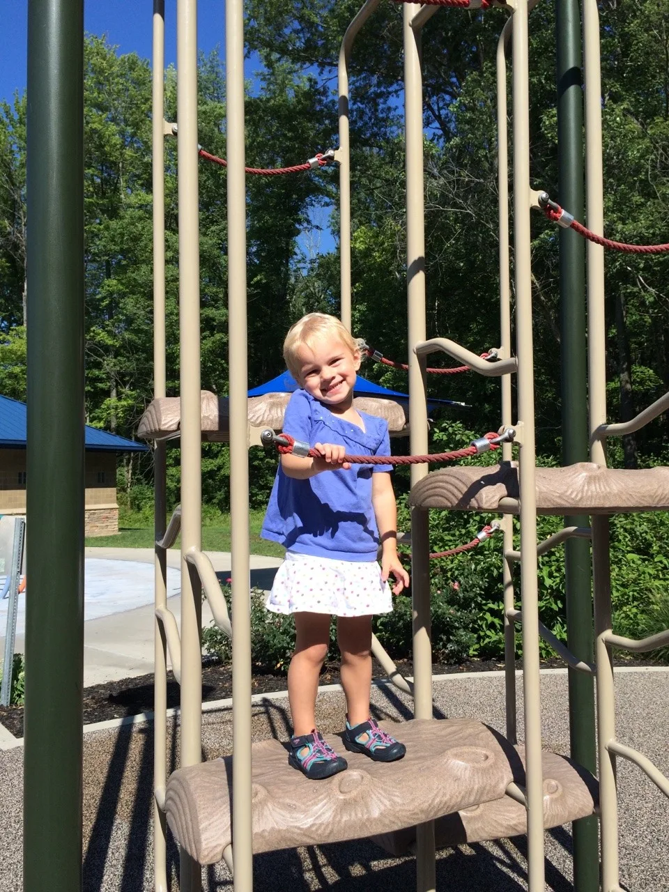 I took the pictures, but they did all this brave climbing all by themselves.