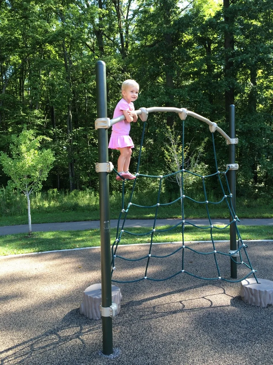 I took the pictures, but they did all this brave climbing all by themselves.