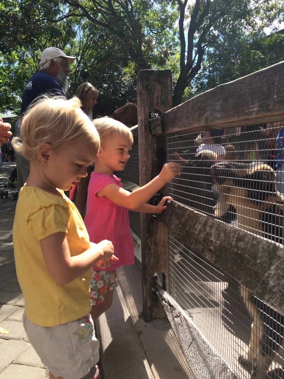 A few photos of cute girls from this weekend