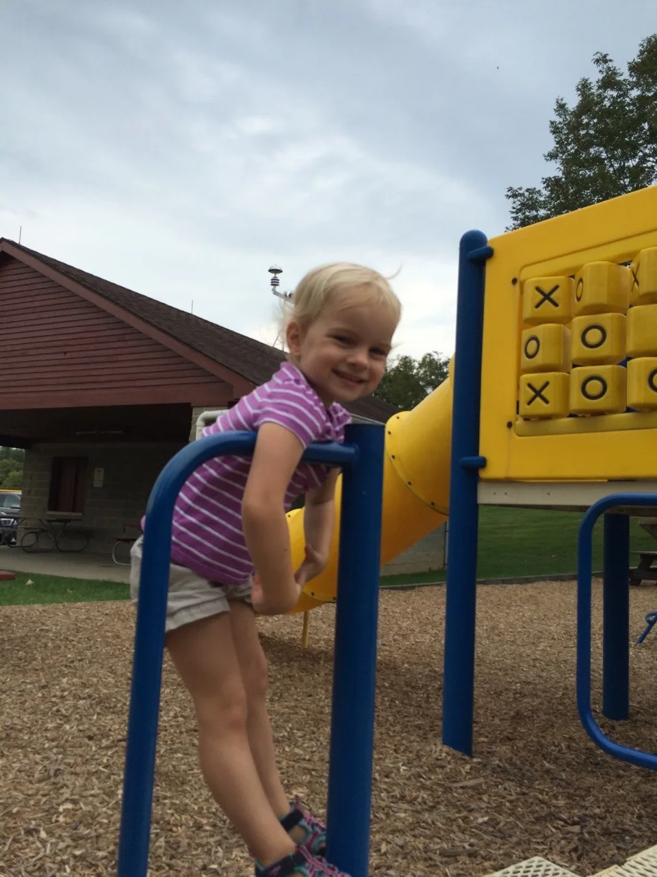 Only part of our weekend was spent worrying about carpenter ants.