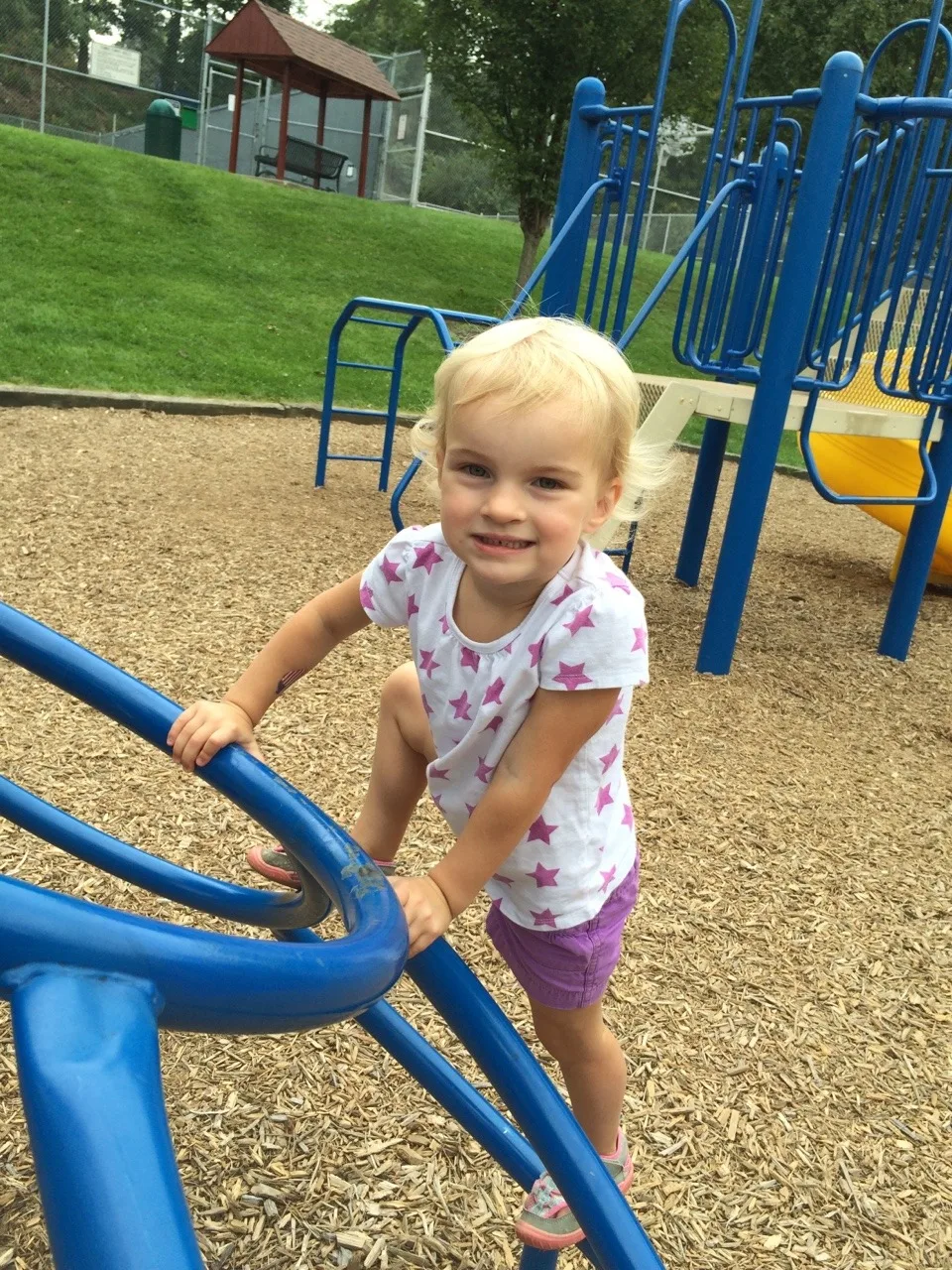 Only part of our weekend was spent worrying about carpenter ants.