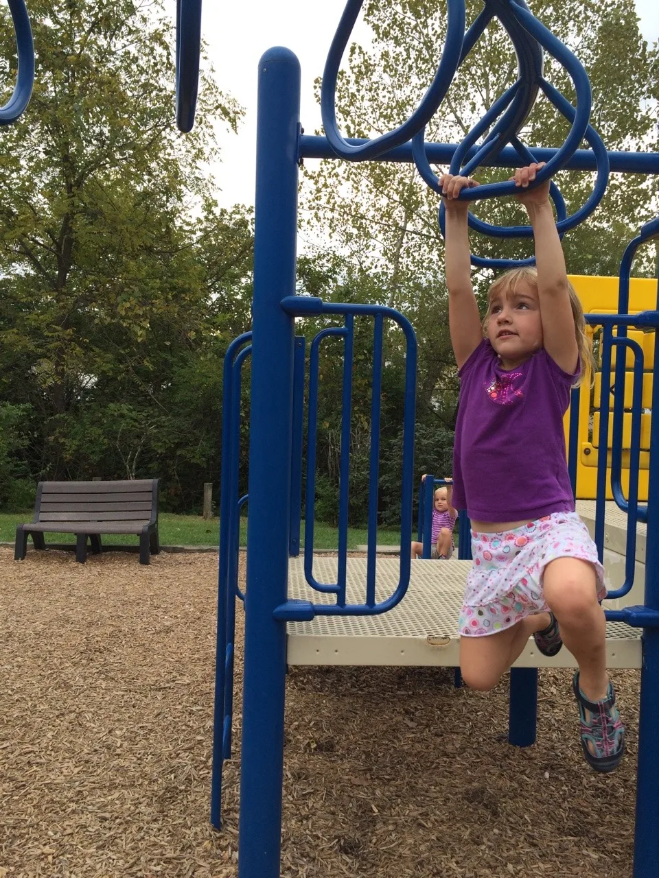 Only part of our weekend was spent worrying about carpenter ants.