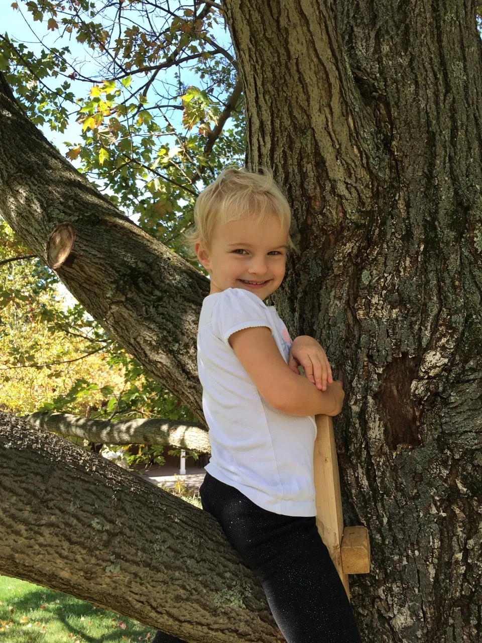 These two rascals figured out how to climb the ladder and get up in the tree. Big girls!