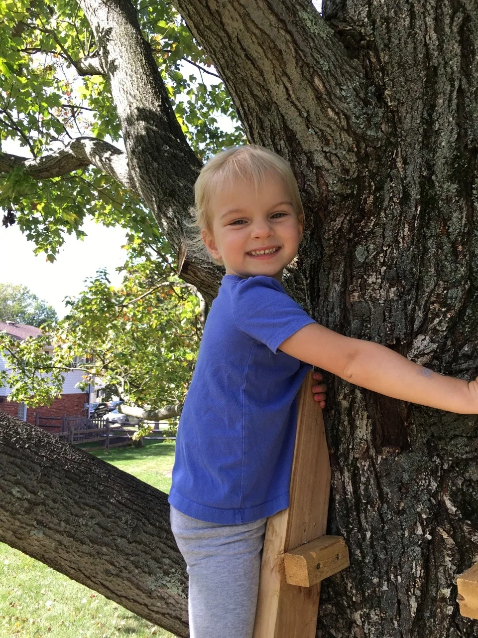 These two rascals figured out how to climb the ladder and get up in the tree. Big girls!