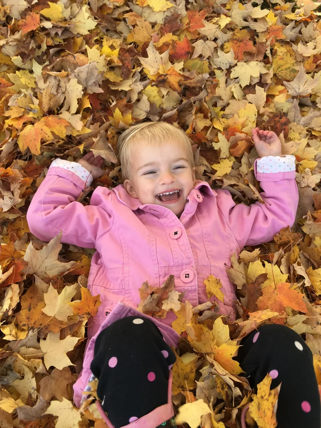 Fall leaf fun has finally returned!