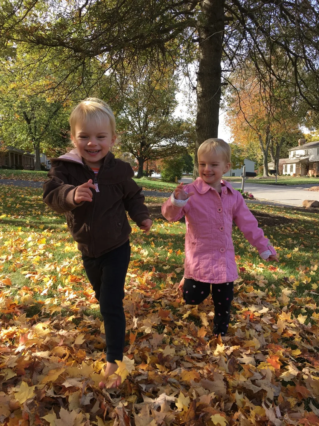 Fall leaf fun has finally returned!